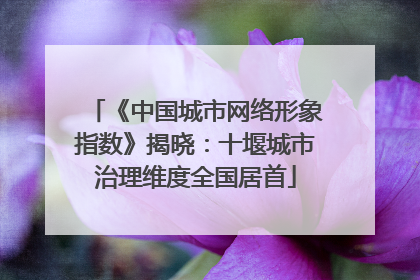 《中国城市网络形象指数》揭晓：十堰城市治理维度全国居首