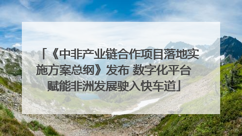 《中非产业链合作项目落地实施方案总纲》发布 数字化平台赋能非洲发展驶入快车道