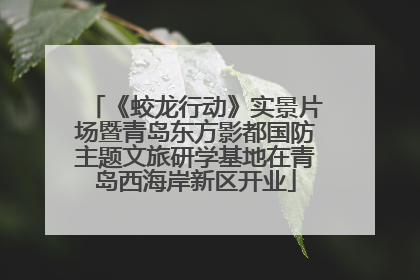 《蛟龙行动》实景片场暨青岛东方影都国防主题文旅研学基地在青岛西海岸新区开业