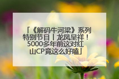 《解码牛河梁》系列特别节目丨龙凤呈祥！5000多年前这对红山CP竟这么好嗑
