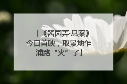 《酱园弄·悬案》今日首映，取景地乍浦路“火”了