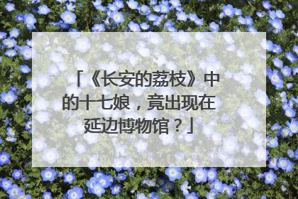 《长安的荔枝》中的十七娘，竟出现在延边博物馆？