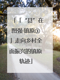 「“县”在图强·镇原③」走向乡村全面振兴的镇原轨迹