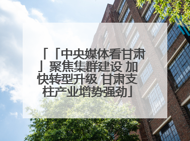 「中央媒体看甘肃」聚焦集群建设 加快转型升级 甘肃支柱产业增势强劲