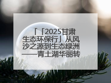 「2025甘肃生态环保行」从风沙之源到生态绿洲——青土湖华丽转身书写生态新篇