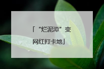 “烂泥潭”变网红打卡地