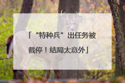 “特种兵”出任务被截停！结局太意外