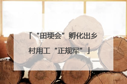 “田埂会”孵化出乡村用工“正规军”