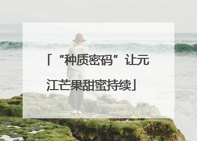 “种质密码”让元江芒果甜蜜持续
