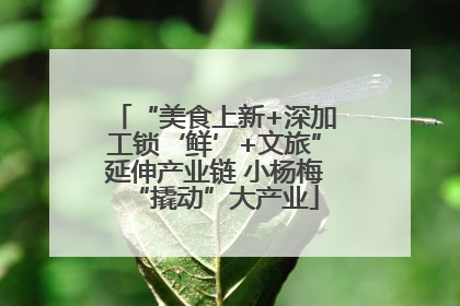 “美食上新+深加工锁‘鲜’+文旅”延伸产业链 小杨梅“撬动”大产业
