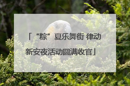 “粽”夏乐舞街 律动新安夜活动圆满收官