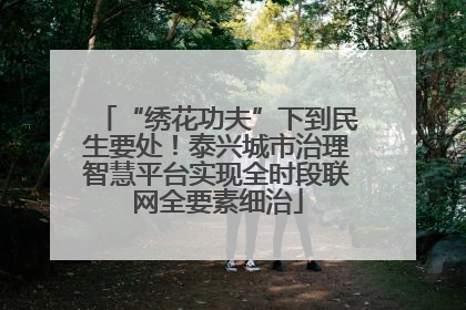 “绣花功夫”下到民生要处！泰兴城市治理智慧平台实现全时段联网全要素细治