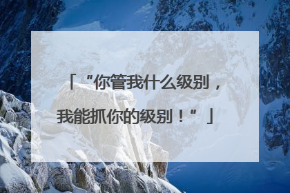 “你管我什么级别，我能抓你的级别！”