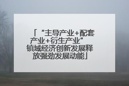 “主导产业+配套产业+衍生产业” 镇域经济创新发展释放强劲发展动能