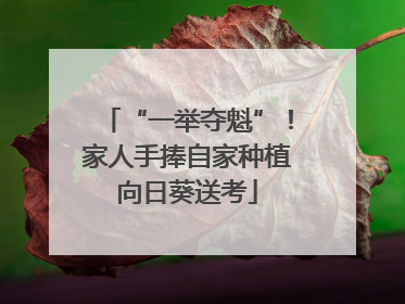 “一举夺魁”！家人手捧自家种植向日葵送考