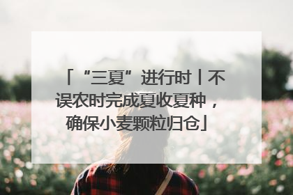 “三夏”进行时丨不误农时完成夏收夏种，确保小麦颗粒归仓