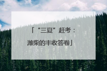 “三夏”赶考：潍柴的丰收答卷