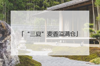 “三夏”麦香溢满仓