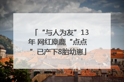 “与人为友”13年 网红麋鹿“点点”已产下8胎幼崽