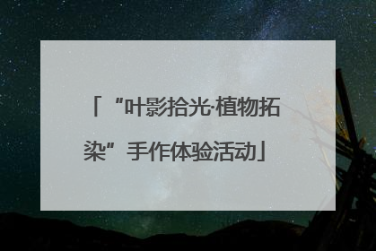 “叶影拾光·植物拓染”手作体验活动