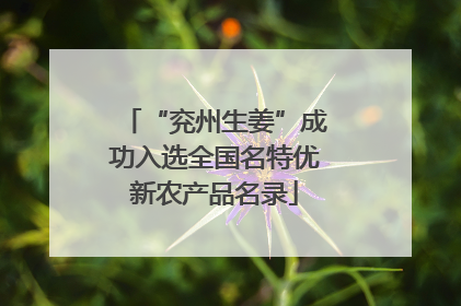“兖州生姜”成功入选全国名特优新农产品名录