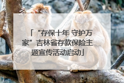 “存保十年 守护万家”吉林省存款保险主题宣传活动启动