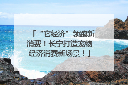 “它经济”领跑新消费！长宁打造宠物经济消费新场景！