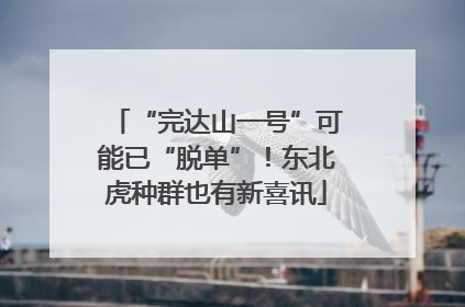 “完达山一号”可能已“脱单”！东北虎种群也有新喜讯