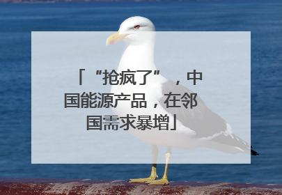 “抢疯了”，中国能源产品，在邻国需求暴增