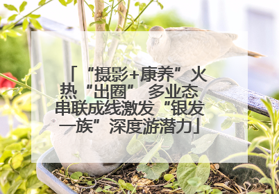 “摄影+康养”火热“出圈” 多业态串联成线激发“银发一族”深度游潜力
