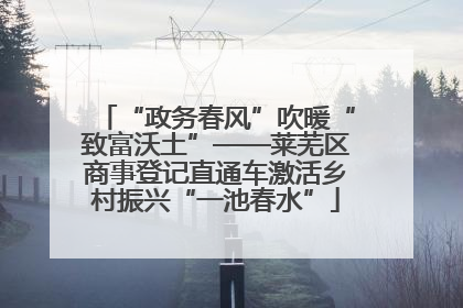 “政务春风”吹暖“致富沃土”——莱芜区商事登记直通车激活乡村振兴“一池春水”