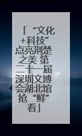 “文化+科技”点亮荆楚之美 第二十一届深圳文博会湖北馆抢“鲜”看