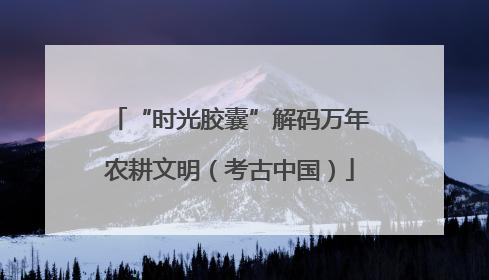 “时光胶囊”解码万年农耕文明（考古中国）