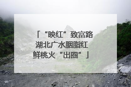 “映红”致富路 湖北广水胭脂红鲜桃火“出圈”