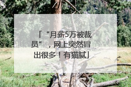 “月薪5万被裁员”，网上突然冒出很多！有猫腻