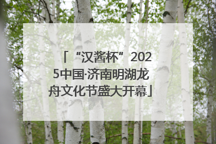 “汉酱杯”2025中国·济南明湖龙舟文化节盛大开幕