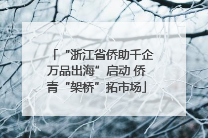 “浙江省侨助千企万品出海”启动 侨青“架桥”拓市场