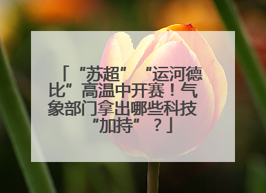 “苏超”“运河德比”高温中开赛！气象部门拿出哪些科技“加持”？