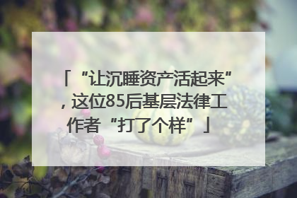 “让沉睡资产活起来”，这位85后基层法律工作者“打了个样”