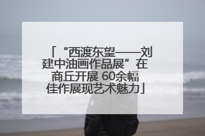 “西渡东望——刘建中油画作品展”在商丘开展 60余幅佳作展现艺术魅力