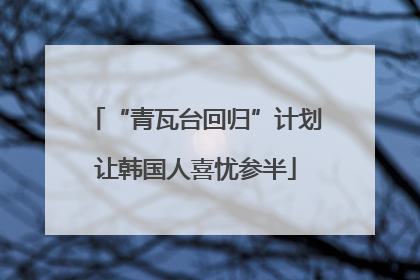 “青瓦台回归”计划让韩国人喜忧参半
