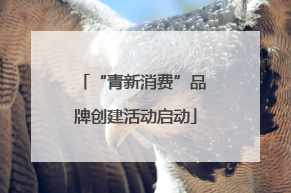 “青新消费”品牌创建活动启动
