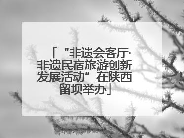 “非遗会客厅·非遗民宿旅游创新发展活动”在陕西留坝举办