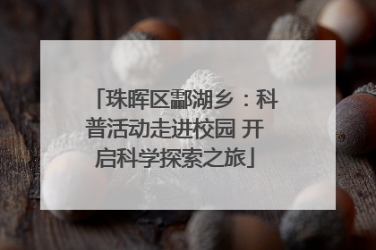 珠晖区酃湖乡：科普活动走进校园 开启科学探索之旅