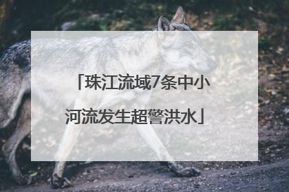 珠江流域7条中小河流发生超警洪水