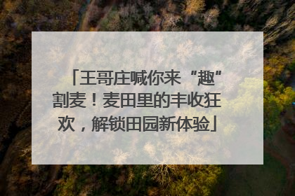 王哥庄喊你来“趣”割麦！麦田里的丰收狂欢，解锁田园新体验