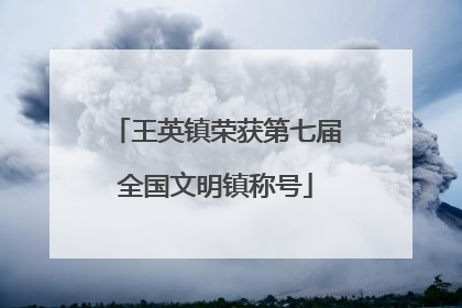 王英镇荣获第七届全国文明镇称号
