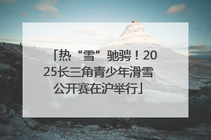 热“雪”驰骋！2025长三角青少年滑雪公开赛在沪举行