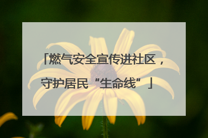 燃气安全宣传进社区，守护居民“生命线”