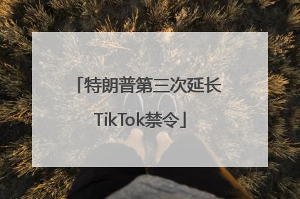 特朗普第三次延长TikTok禁令